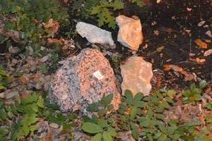 lot 484 image: LOT OF DECORATIVE ROCKS - SEE NOT IN DESC