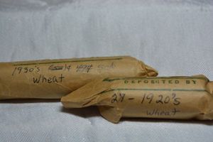 lot 44 image: Wheat Pennies from 1920s-1930s.