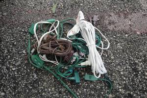 lot 175 image: Lot Of 9-Mixed Extension Cords, Mixed Lengths