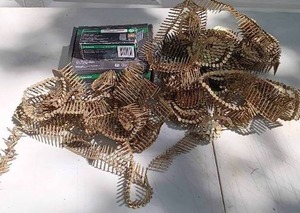 lot 36 image: Huge Lot of Strip Nails---Various Sizes---See Pics