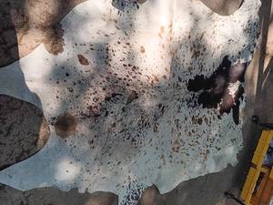 lot 41 image: Very Large Cowhide Leather Rug--Has some issues but could be used for arts and crafts