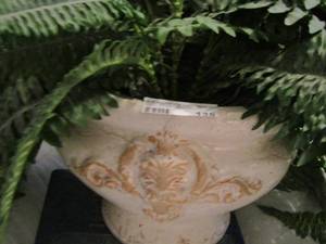 lot 136 image: plant pot with wax plants