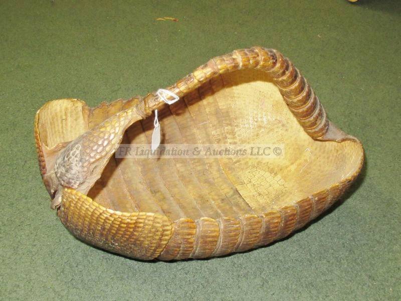 lot 774 image: Genuine armadillo shell basket