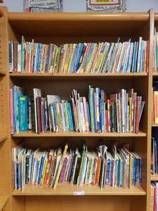 lot 312 image: Large Lot of Classroom Books.  Contents of 3 Shelves Pictured.