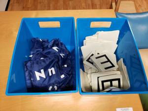 lot 333 image: 2 Bins of Alphabet Bean Bags & Alphabet Rubber Squares