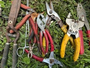 lot 292 image: plyers, scissors, wire cutters,