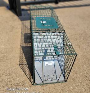 lot 70 image: Metal RodentRaccoon Animal Holder