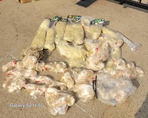lot 90 image: Lot of mostly new in packages, long and short blonde wigs, great for Halloween or dress up  Lady Godiva, Marilyn and more as shown