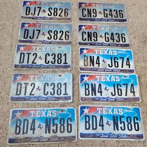 lot 238 image: Five Pairs of Texas License Plates