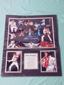 lot 29 image: Signature Elvis Presley Memorabilia Large Board (In Plastic Sleeve)
