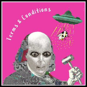 lot 6 image: TERMS & CONDITIONS