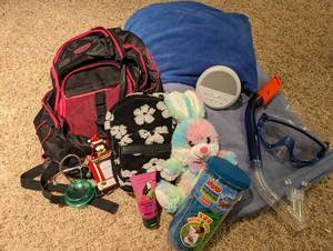 lot 110 image: Mixed Lot w 2 Backpacks, Phone Holder, Toys, Heated Blanket, Pillow, Sound Machine, Etc - QV DESCR