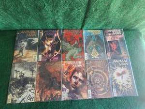 lot 68 image: Selection of Comic books - Animal Man - DC comics