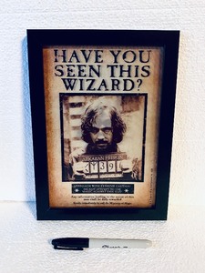 lot 282 image: New Wizarding World Harry Potter Sirius Black 3D Lenticular Poster 10 x 8 - As Shown - Retails $21