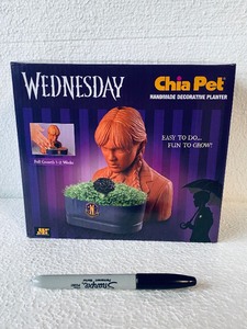 lot 350 image: New Wednesday Chia Pet Handmade Decorative Planter, Full Growth 1-2 Weeks - As Shown
