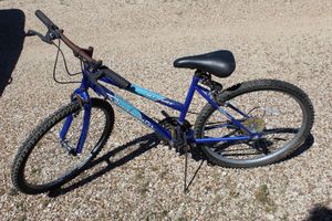 lot 245 image: Mens Roadmaster Bike 26... Needs Front Rubber