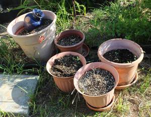 lot 166 image: Small and Medium Outdoor Planters