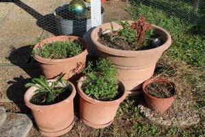 lot 169 image: Medium and Large Outdoor Planters as shown