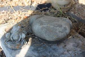 lot 172 image: Frog Themed Cement Lawn Decorations