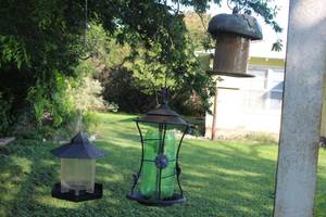 lot 177 image: Three Different Bird Feeders as shown