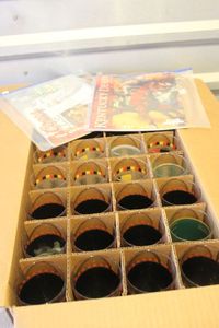 lot 203 image: Case of 72 Kentucky Derby Glasses