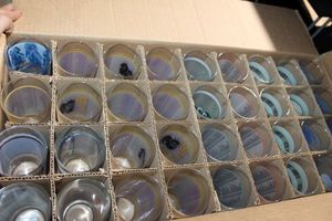 lot 261 image: Case of Kentucky Derby Glasses