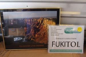 lot 300 image: Framed Picture 18x24 and Fucitol Sign 15x13