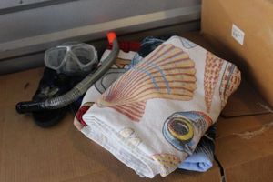 lot 296 image: Scuba Gear and Towels