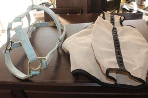 lot 374 image: Equine Fly cover and Head Gear