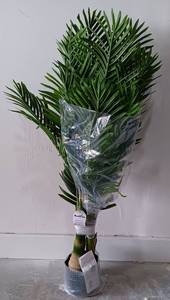 lot 69 image: NEW, KAZEILA TALL PLANT AS SHOWN. 5FT TALL ASSEMBLED