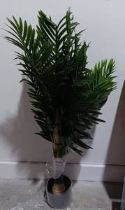 lot 120 image: NEW, KAZEILA TALL PLANT AS SHOWN. 5FT TALL ASSEMBLED.