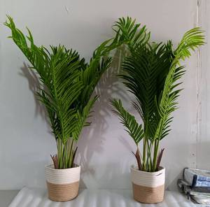 lot 344 image: YOUR BID X 2 NEW, ARTIFICIAL TREES WITH WOOVEN-STYLE POTS AS SHOWN.
