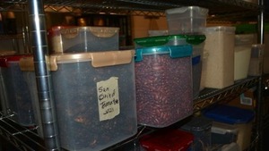 lot 243 image: Prep Food lot - All Food is Organic, natural and Sulfur Free LocknLock containers marked Sun dried tomatoes, Kidney beans, Tomato flakes, Buttermilk powder, White Chia, Couscous, Chili peppers