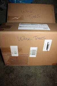 lot 294 image: (2) boxes Illuminated Glistening Wax Trees unopened still in box