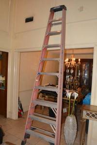 lot 20 image: Werner 10 Ladder