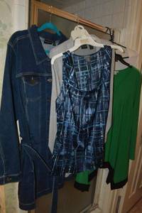 lot 61 image: Susan Graver Jeans Dress size 2X still with tags, Ann Taylor Blue silk tank top size 18, ATTITUDES green blouse size L and ADDITIONS silver cardigan size 2