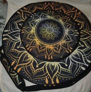 lot 62 image: REMO Black Buffalo Drum 16 with case