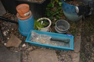 lot 465 image: Flower pots