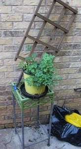 lot 380 image: Square metal plant stand, flower pot and short wood trellis
