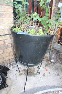 lot 382 image: Flower pot with short wire metal plant stand