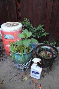 lot 384 image: Flower pots, plant base, Igloo cooler