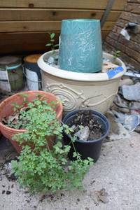 lot 390 image: Flower pots as shown