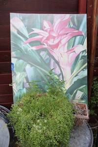lot 397 image: Outdoor garden canvas art, Flower pots and plant