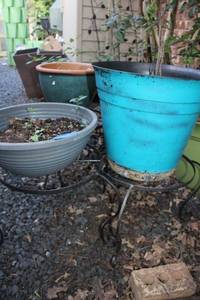 lot 414 image: Flower pots with short plant stands