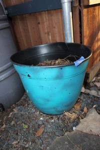 lot 420 image: Blue rubber flower pot