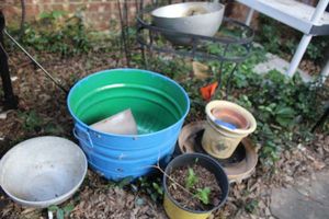 lot 442 image: Empty Flower pots and oval plant stand