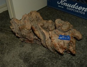 lot 342 image: Driftwood, approximately 15 x 8