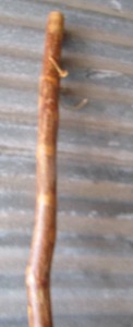 lot 183 image: 54 tall walking stick