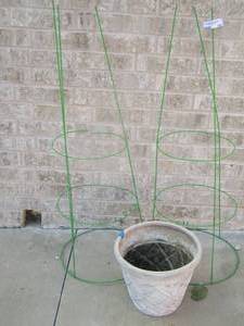 lot 197 image: planter pot and 2 tomato vines