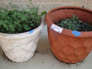 lot 192 image: small plant pots qty 2